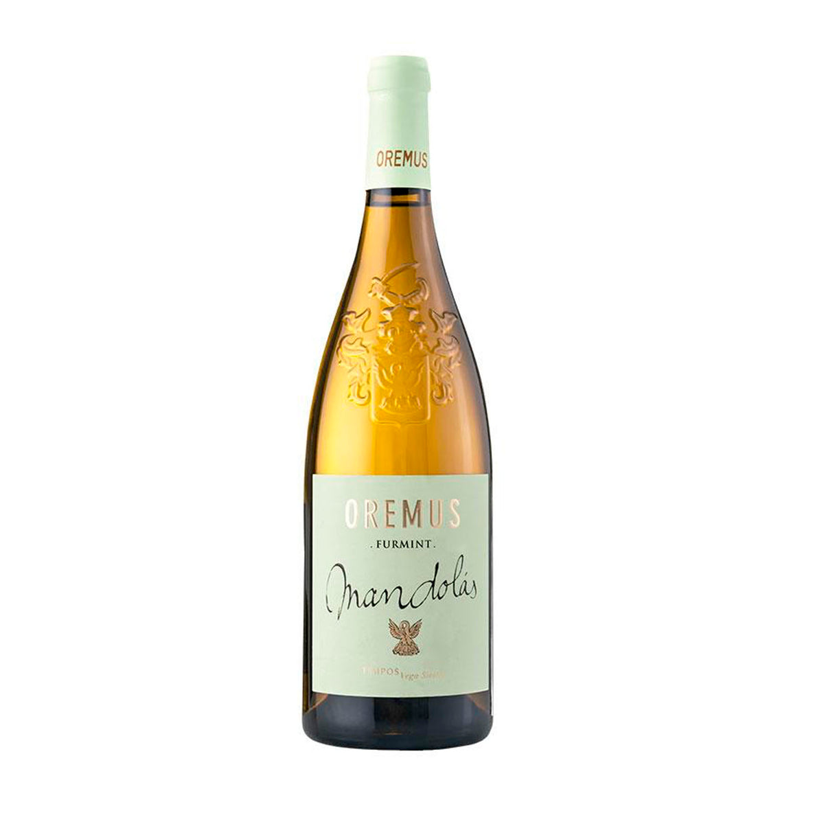 vaginadagi jinsiy olatni yaqindan korish Katta klitorisli gozal qizlar